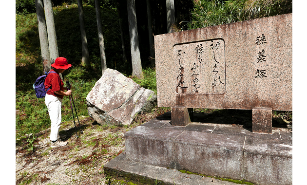 古道山歩シリーズ[br]芭蕉の〝猿蓑峠〟を歩く｜趣味・知識が深まる旅